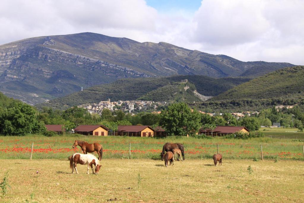 Wecamp Pirineos Hotel Boltana Ngoại thất bức ảnh
